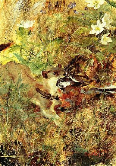 Weasel with Chaffinch, bruno liljefors